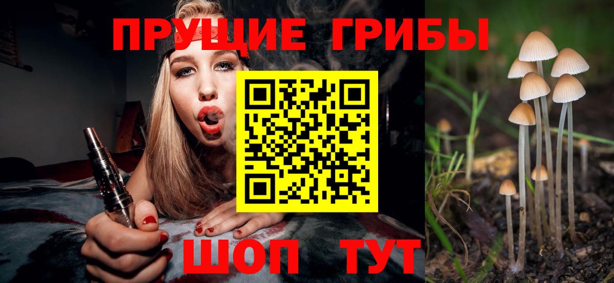 Галлюциногенные грибы GOLDEN TEACHER  Псилоцибиновые грибы Psilocybine cubensis  Вход с VPN  Волжск 